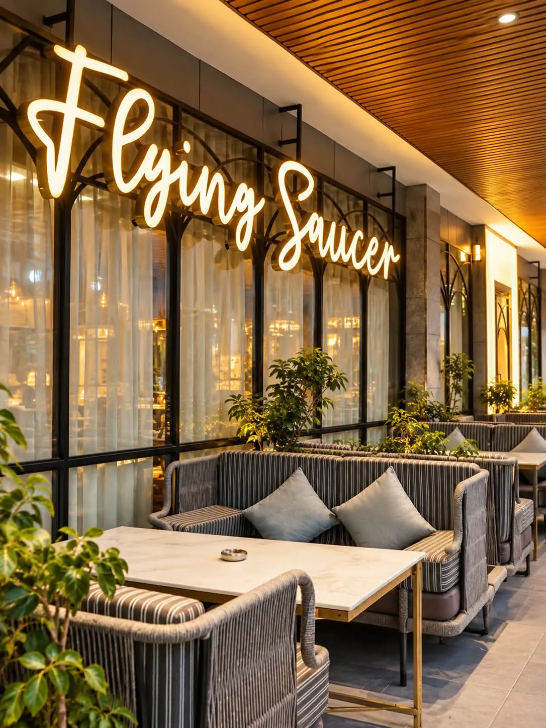 The Flying Saucer