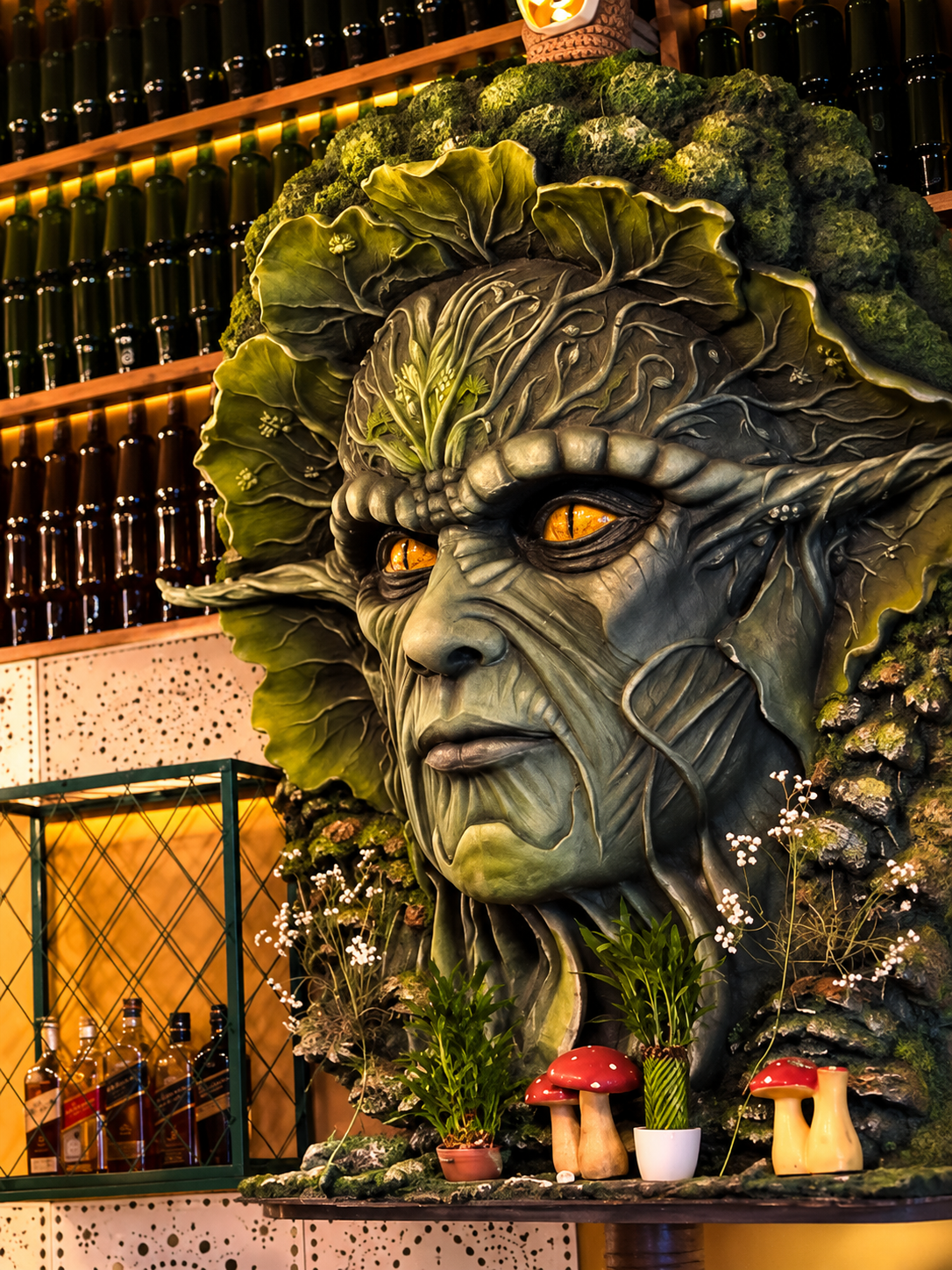 House of Chapora