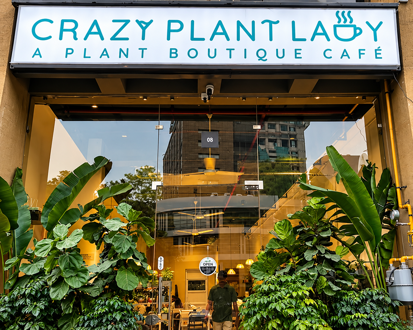 Crazy plant lady cafe